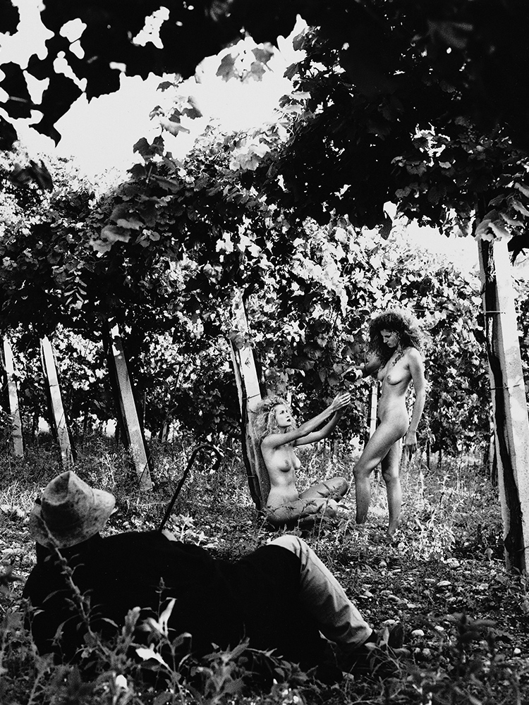 HELMUT NEWTON