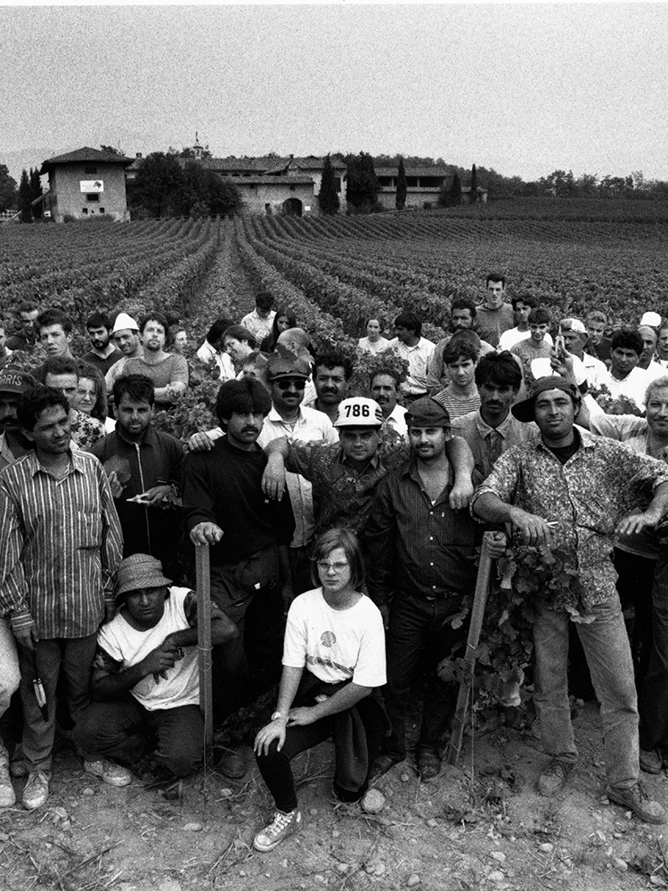 WILLIAM KLEIN