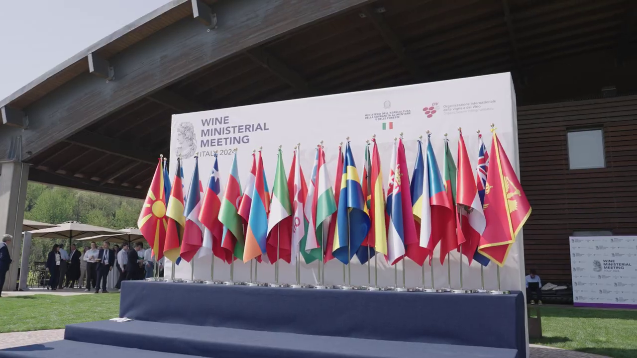 Wine Ministerial Meeting Italy 2024