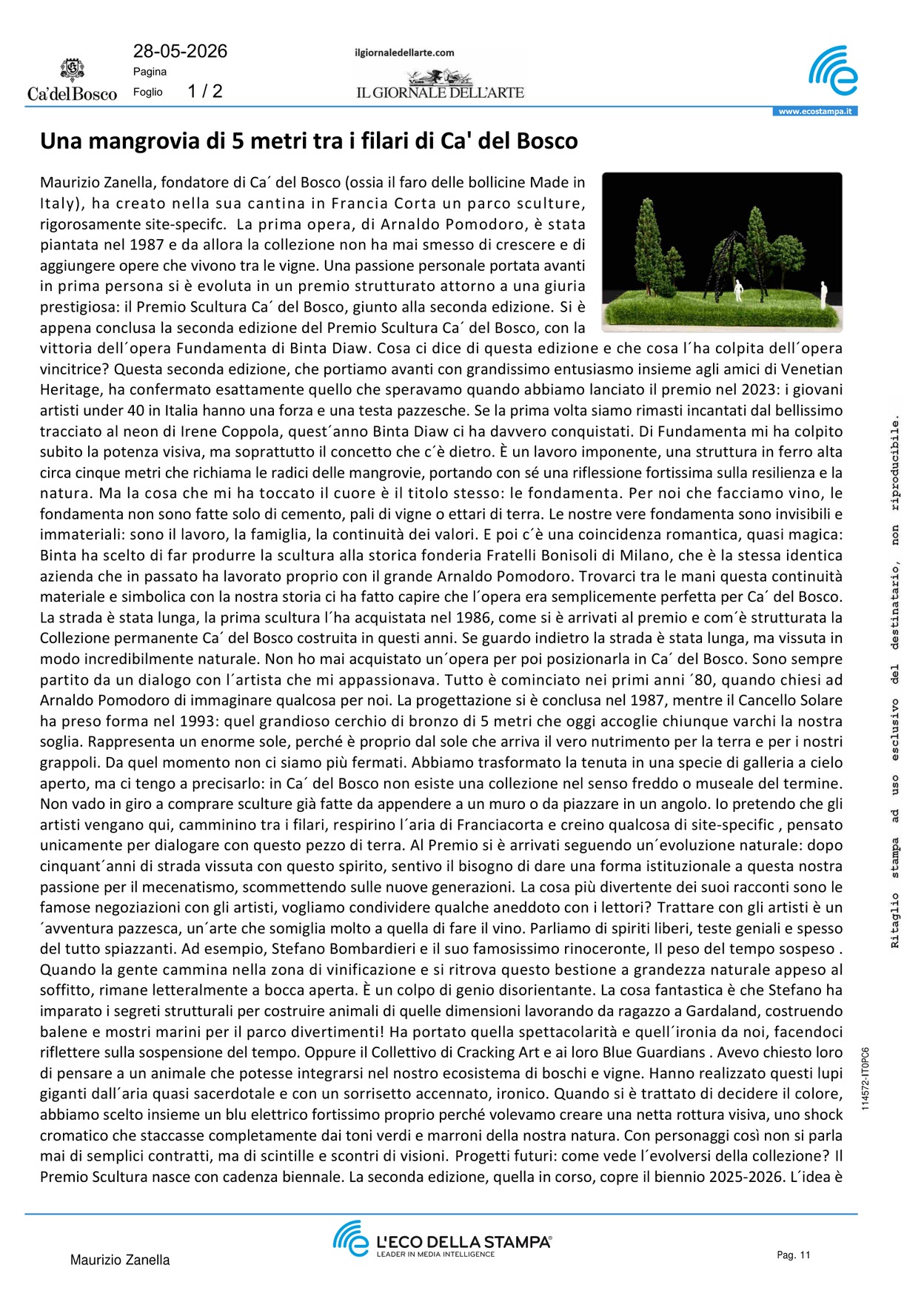 Una mangrovia di 5 metri tra i filari di Ca del [..]