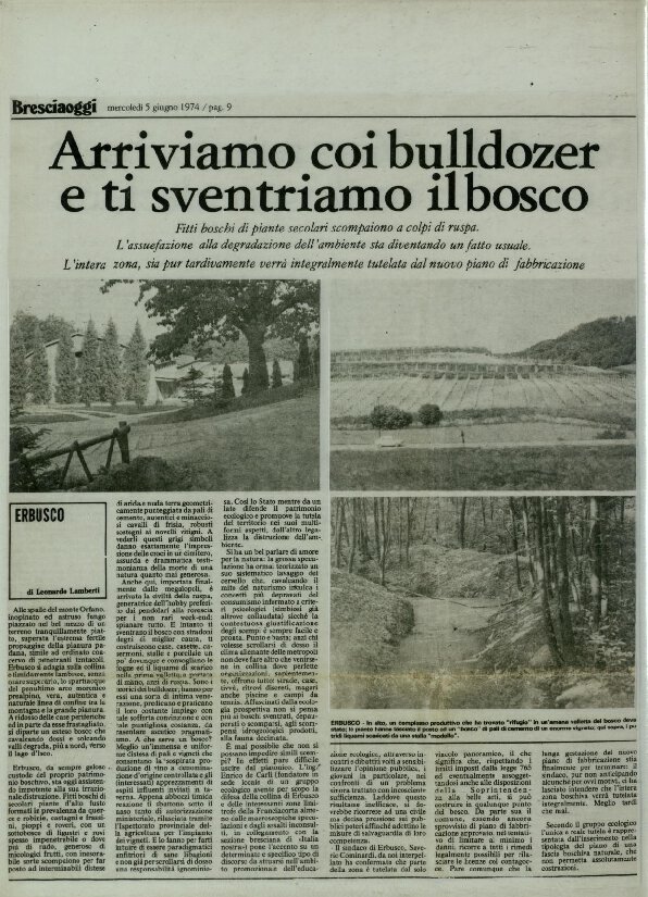 Arriviamo coi Bulldozer e ti sventriamo il bosco