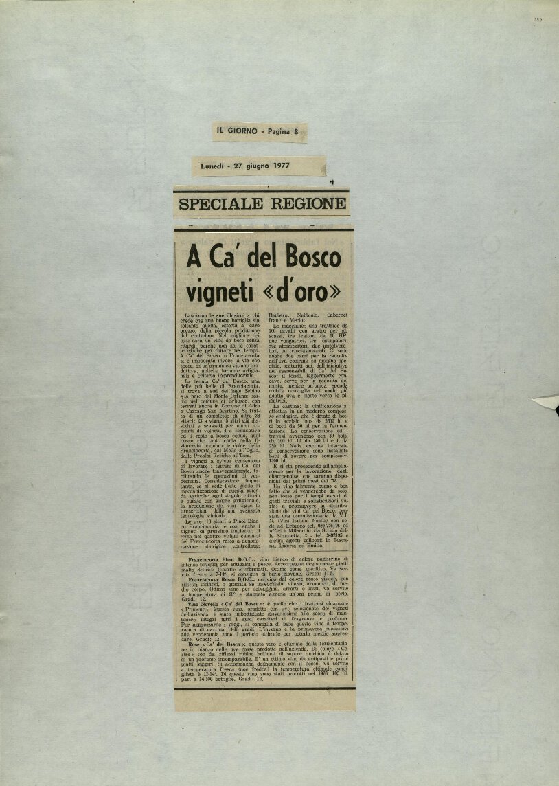 A Ca’ del Bosco vigneti “d’oro”