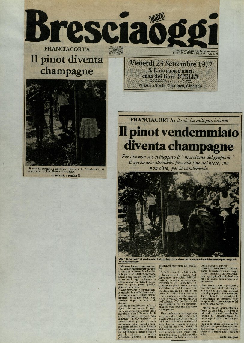 Il pinot vendemmiato diventa champagne