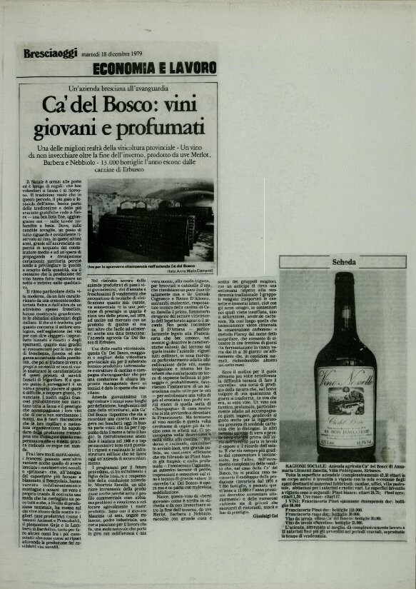 Ca’ del Bosco: vini giovani e profumati