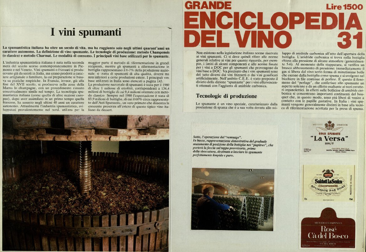 I vini spumanti
