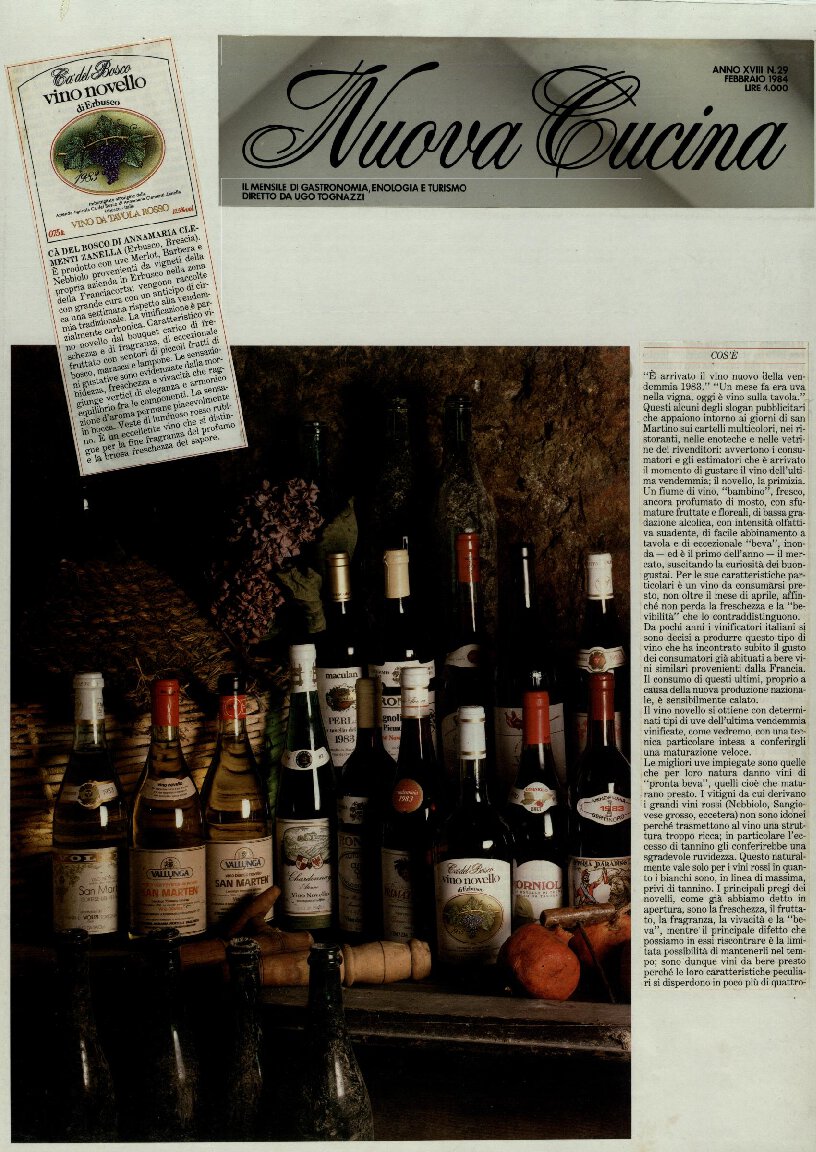 Vino novello cos’è