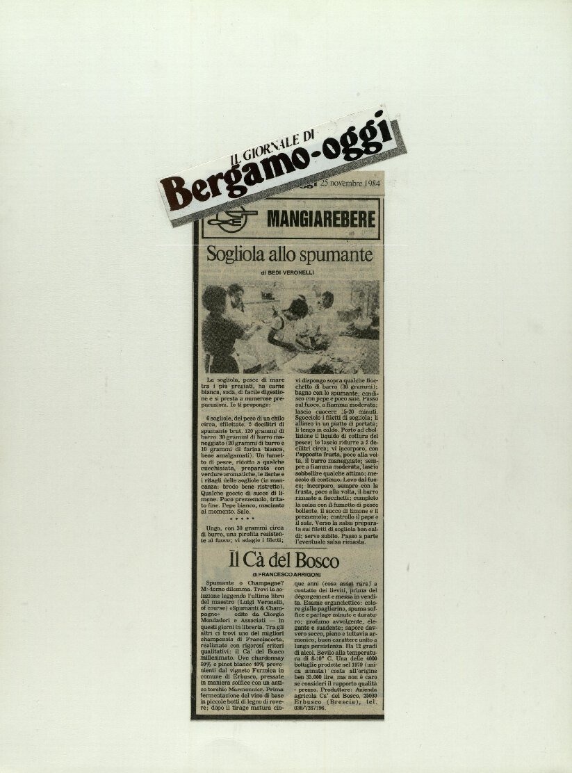 Il Ca’ del Bosco