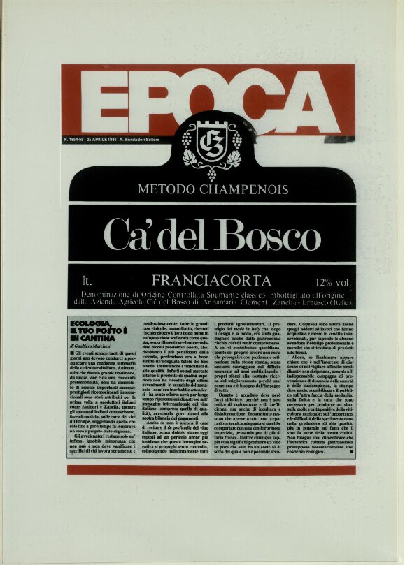 Ecologia, il tuo posto è in cantina